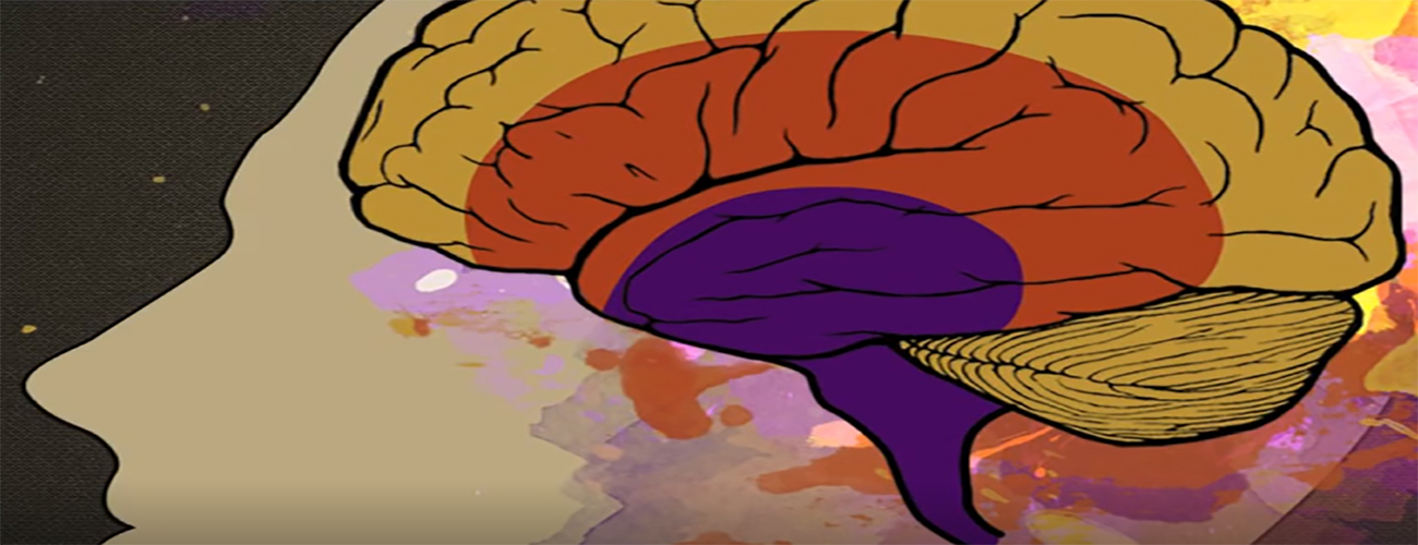 A Conexão Emocional Vende